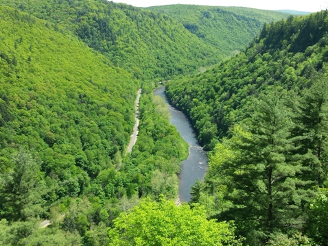 bike Pennsylvania, Pine Creek Trail, biking, BikeTripper.net