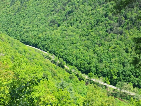 bike Pennsylvania, Pine Creek Trail, biking, BikeTripper.net