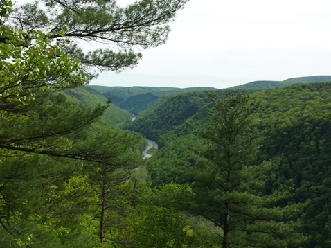 bike Pennsylvania, Pine Creek Trail, biking, BikeTripper.net