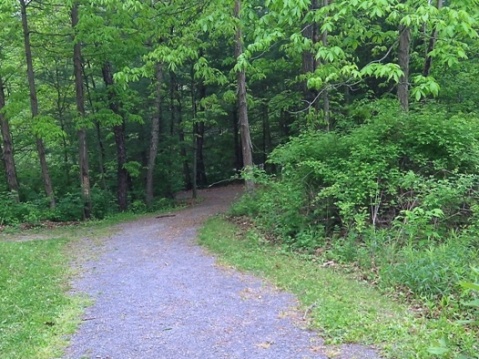 bike Pennsylvania, Pine Creek Trail, biking, BikeTripper.net