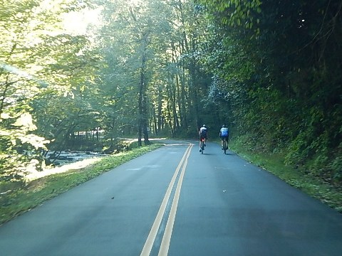 biking, Great Smoky Mountains, Tremont, Middle Prong