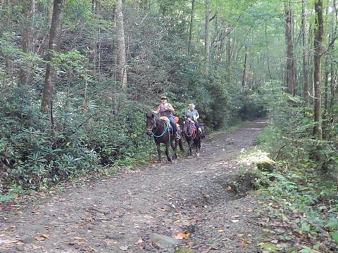 biking, Great Smoky Mountains, Tremont, Middle Prong