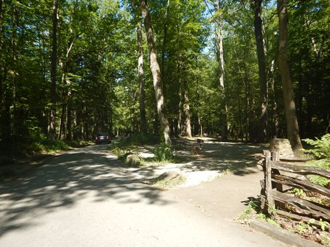 biking, Great Smoky Mountains, Cades Cove