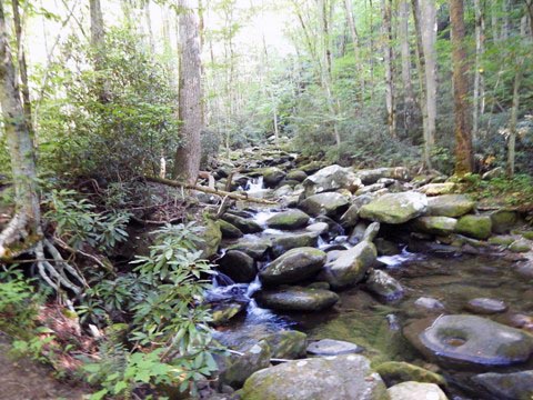biking, Great Smoky Mountains, Roaring Fork