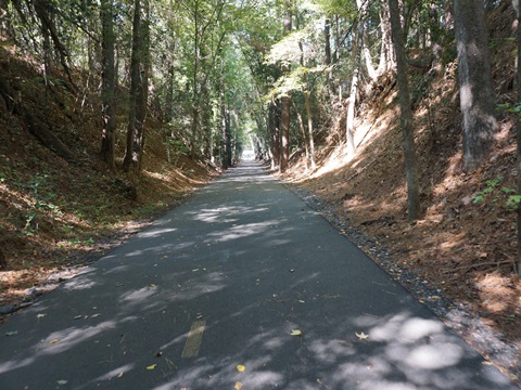 North Augusta Greenway, bike South Carolina, BikeTripper.net