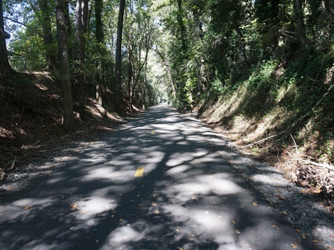 North Augusta Greenway, bike South Carolina, BikeTripper.net