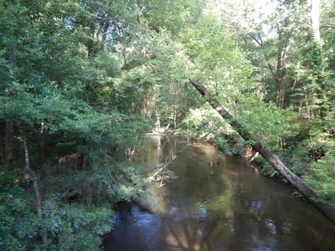 bike Cayce- west Columbia Riverwalk, Timmerman Trail, South Carolina biking