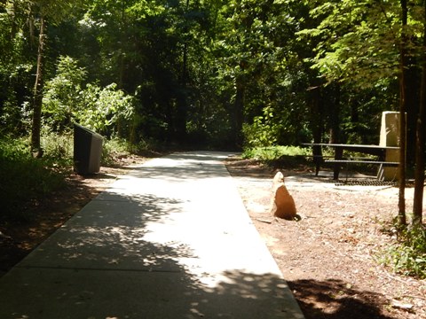 bike Three Rivers Greenway, South Carolina biking