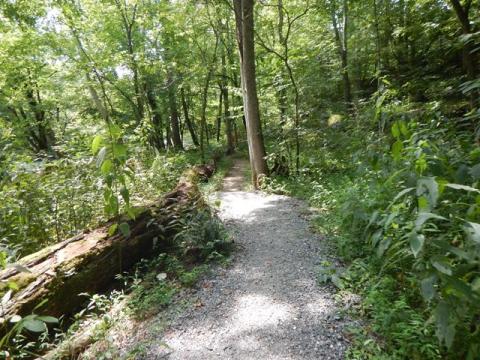 bike Tennessee, Townsend Historical Trail, biking, BikeTripper.net