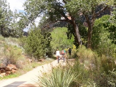 bike Utah, Zion National Park, biking, BikeTripper.net