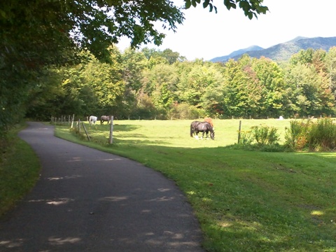 bike Vermont, Stowe Recreation Path, biking, BikeTripper.net