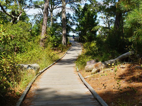 bike Virginia, Chincoteague, biking, BikeTripper.net