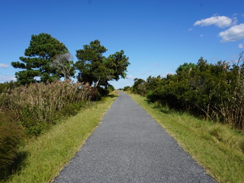 bike Virginia, Chincoteague, biking, BikeTripper.net