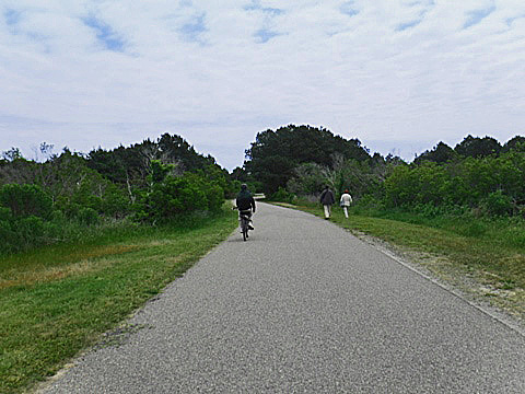 bike Virginia, Chincoteague, biking, BikeTripper.net