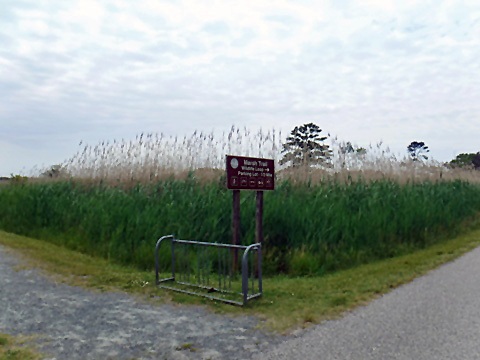 bike Virginia, Chincoteague, biking, BikeTripper.net