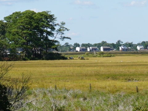 bike Virginia, Chincoteague, biking, BikeTripper.net