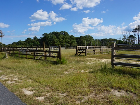 bike Virginia, Chincoteague, biking, BikeTripper.net