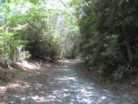 bike Virginia, Virginia Creeper Trail, biking, BikeTripper.net