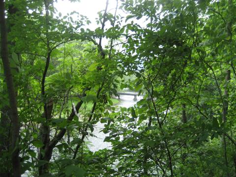 bike Virginia, Jackson River Scenic Trail, biking, BikeTripper.net