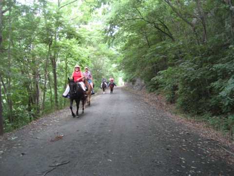 bike Virginia, New River Trail, biking, BikeTripper.net