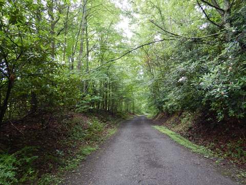 bike Virginia, New River Trail, biking, BikeTripper.net