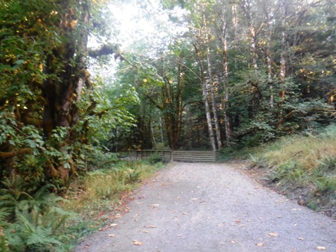 bike Washington, Olympic Discovery Trail, biking, BikeTripper.net