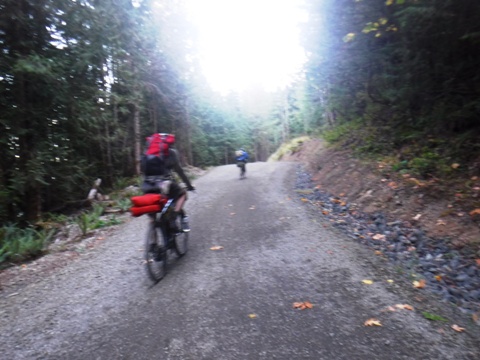 bike Washington, Olympic Discovery Trail, biking, BikeTripper.net