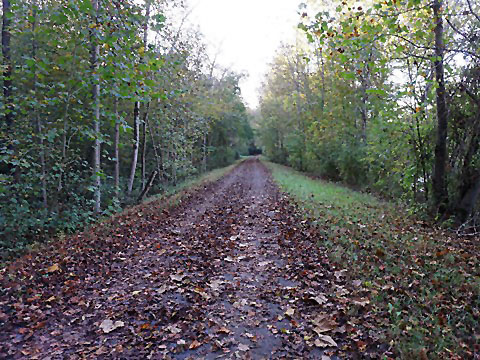 Mon River Trail, Morgantown WV, West Virginia biking, BikeTripper.net