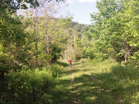 bike West Virginia, Greenbrier River Trail, biking, BikeTripper.net