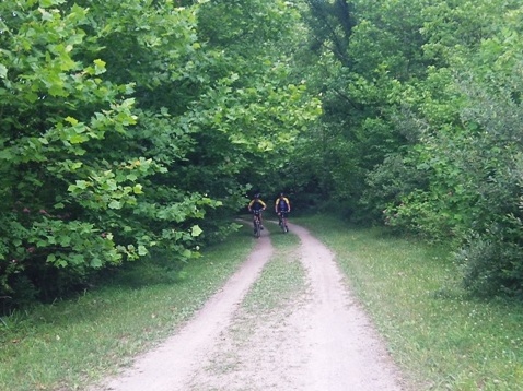 bike West Virginia, Greenbrier River Trail, biking, BikeTripper.net